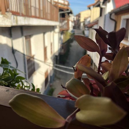 Apartamento La Golondrina Candeleda Exterior foto