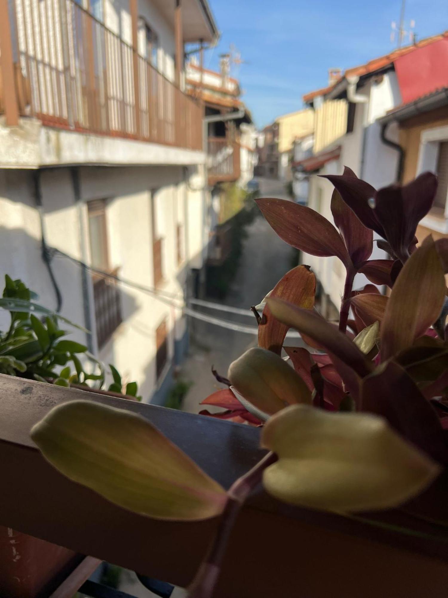 Apartamento La Golondrina Candeleda Exterior foto