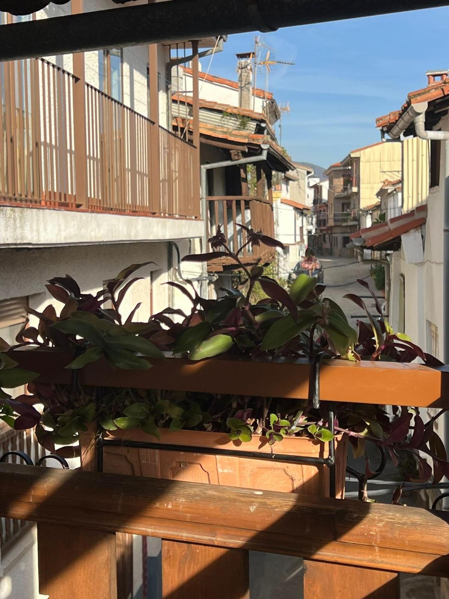 Apartamento La Golondrina Candeleda Exterior foto