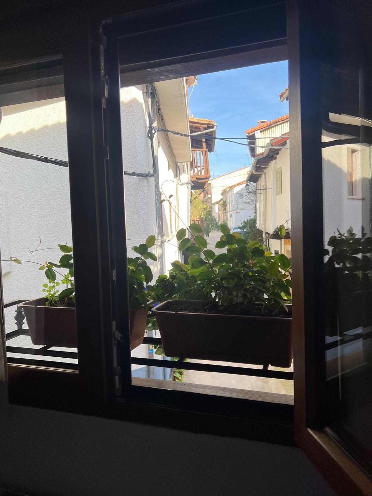 Apartamento La Golondrina Candeleda Exterior foto
